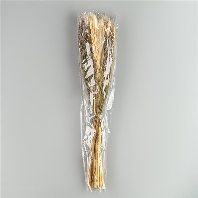 Букет из сухоцветов «Мечта», набор из 85 шт., высота 47 см