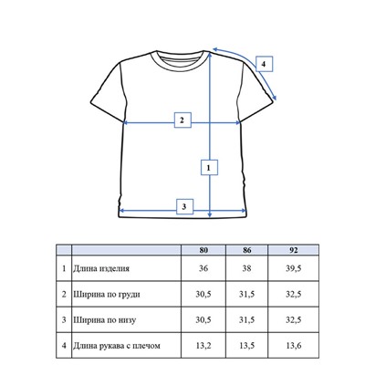 Фуфайка детская трикотажная для мальчиков (футболка)