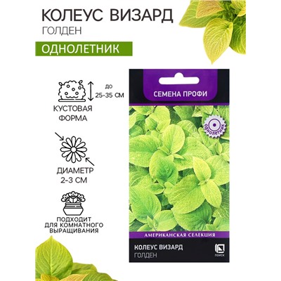 Семена цветов Колеус Визард Голден, 10шт