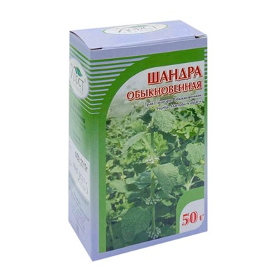 Шандра обыкновенная трава 50 гр.