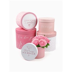 Набор подарочных коробок, упаковка, 5 в 1 «Нежность», 14×13 ‒22×19.5 см