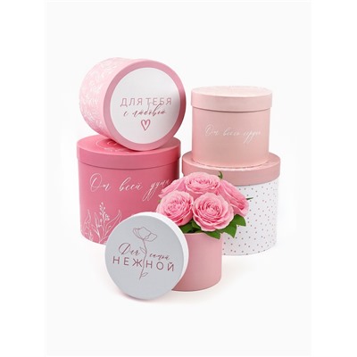 Набор подарочных коробок, упаковка, 5 в 1 «Нежность», 14×13 ‒22×19.5 см