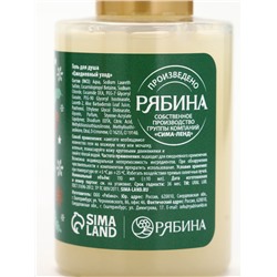 Подарочный набор новогодний в санях: гель для душа 2 шт., соль для ванны и мочалка, URAL LAB