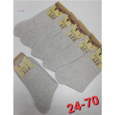 Носки мужские 10 пар 1801564-1