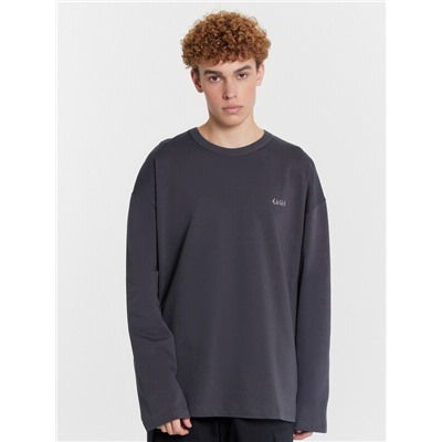 ЛОНГСЛИВ МУЖСКОЙ 121902