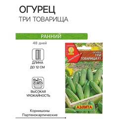 Семена Огурец "Три товарища" F1, раннеспелый, партенокарпический, 10 шт.
