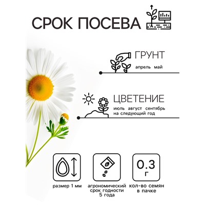 Семена цветов Ромашки "Аляска", 0,3 г