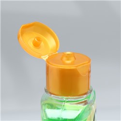 Шампунь «Пижон Premium» для кошек и собак в период линьки, с экстрактами трав, 250 мл