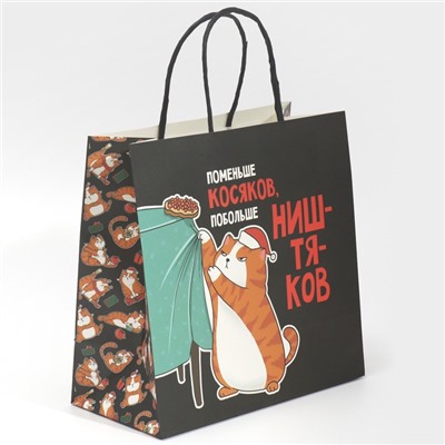 Пакет подарочный новогодний «Косяки наше всё», 22×22×11 см