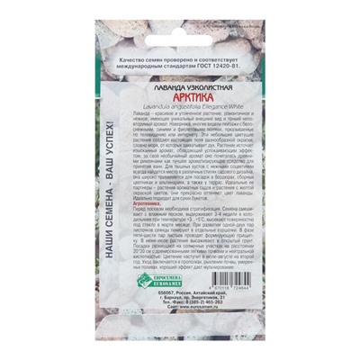 Семена лаванда узколистная «Арктика», 5 шт.