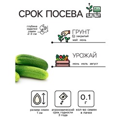 Семена Огурец "Либелле", 0,1 г