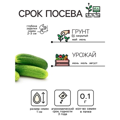 Семена Огурец "Либелле", 0,1 г