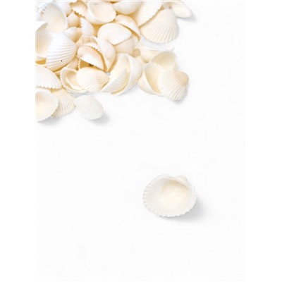 Набор ракушек декоративных 1.5-3 см, 100 г