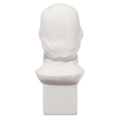 Гипсовая фигура известные люди: Бюст Салтыкова-Щедрина 20×9.5×10.5 см