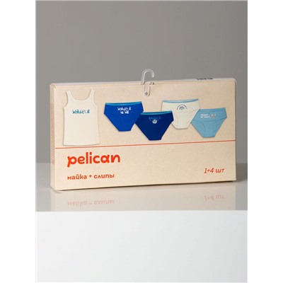 PELICAN Комплект GUAVL4310(4+1)