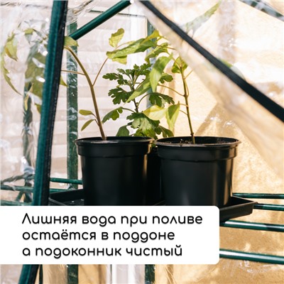 Набор для рассады: стаканы по 500 мл (8 шт.), поддон 40 × 20 см, чёрный, Greengo