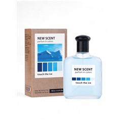Туалетная вода мужская New Scent Touch The Ice, 100 мл