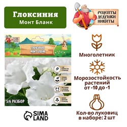 Глоксиния "Монт Бланк", р-р 5/6, 2 шт Весна 2025