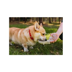 Поилка прогулочная, 300 мл, фигурная, с мягким носиком