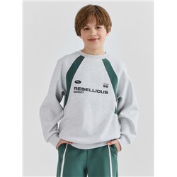 СВИТШОТ ДЛЯ МАЛЬЧИКОВ 123500