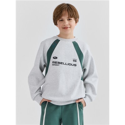 СВИТШОТ ДЛЯ МАЛЬЧИКОВ 123500