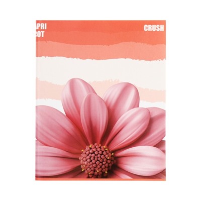 Набор тетрадей 96 листов в клетку Calligrata Apricot Crush, обложка мелованный картон, глянцевая ламинация, блок офсет, 4 шт.