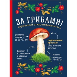 Эксмо Ильина Т.А. "За грибами. Карманный атлас-определитель"