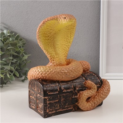 Фигурка гипс «Кобра на сундуке», 20×17×12 см, янтарный