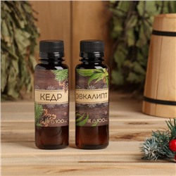 Новогодний набор ароматизаторов «Мужской подарок», кедр, эвкалипт, 2 шт. по 100 мл