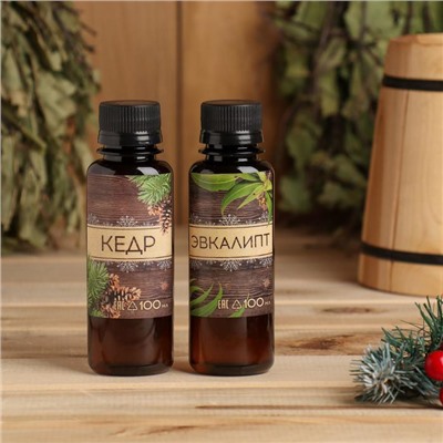 Новогодний набор ароматизаторов «Мужской подарок», кедр, эвкалипт, 2 шт. по 100 мл
