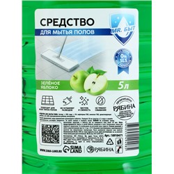 Средство для мытья пола, 5 л, аромат зелёное яблоко, Mr.Быт