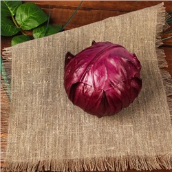 Муляж «Краснокочанная капуста», 10 см