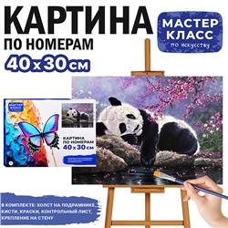 Набор для рисования "Картина по номерам 30х40 см. Спящая панда"