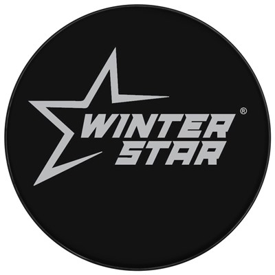 Шайба хоккейная Winter Star, взрослая, d=7.6 см