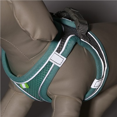 Комплект с мягкой шлейкой быстросъемный, XXS поводок 150×1.5 см, ОШ 24-26 ОГ 28-30 см, бирюзовый