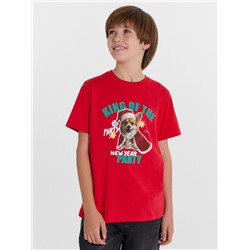 ФУТБОЛКА ДЛЯ МАЛЬЧИКОВ 113379