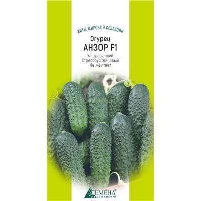 Огурец Анзор F1, 5сем (цв.) Бейо