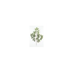 Искусственные цветы, Ветка кустовая дуб 14*3 листа (1010237) зеленый