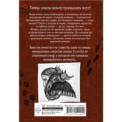 АСТ Аля Рогожина "Школа №13. Тень из шкафа"