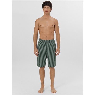 ШОРТЫ МУЖСКИЕ 531027