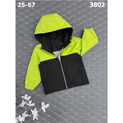Ветровка 3802 салатовый