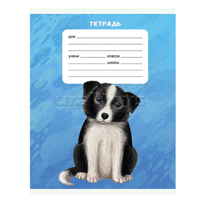 Тетрадь 18л. А5, клетка "Собачки" скрепка