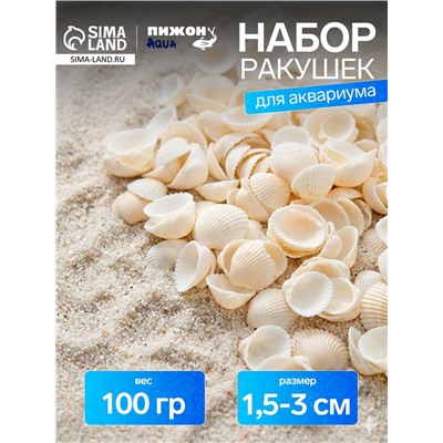Набор ракушек декоративных 1.5-3 см, 100 г