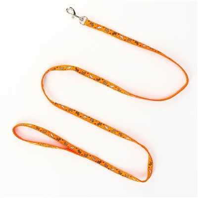 Комплект «Собачки», ширина 1 см, поводок 1.2 м, шлейка 23-35 см, оранжевый