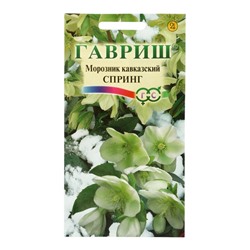 Семена цветов Морозник кавказский Спринг (лимонно-зеленый)* 0,1 г DHп