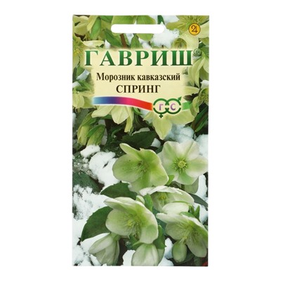 Семена цветов Морозник кавказский Спринг (лимонно-зеленый)* 0,1 г DHп