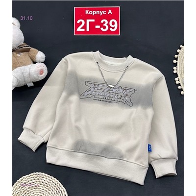 кофта с начесом 1841971-4