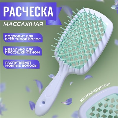 Расчёска массажная, широкая, вентилируемая, 8.5×20.5 см, PVC коробка, цвет белый/бирюзовый