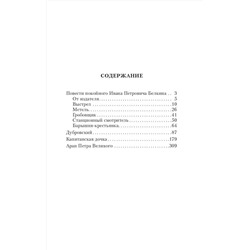 АСТ Александр Сергеевич Пушкин "Капитанская дочка"