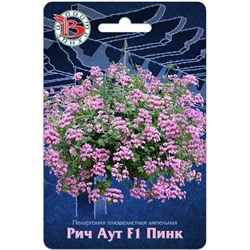 Пеларгония Рич Аут F1 Пинк плющ ампельн (Биотехника)